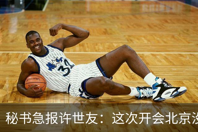 秘书急报许世友：这次开会北京没派专机，许：迷糊蛋，这都不懂吗