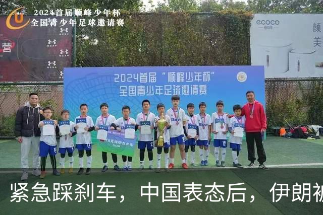 紧急踩刹车，中国表态后，伊朗被曝接受条款，特朗普下令停手